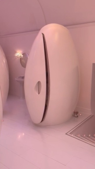 Glossy white egg-shaped pod in a soft pink interior